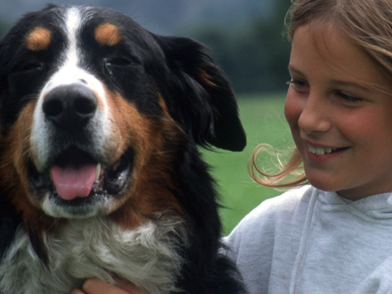 kind_hund_tierallergie