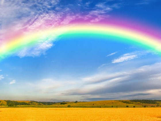regenbogen_mepha