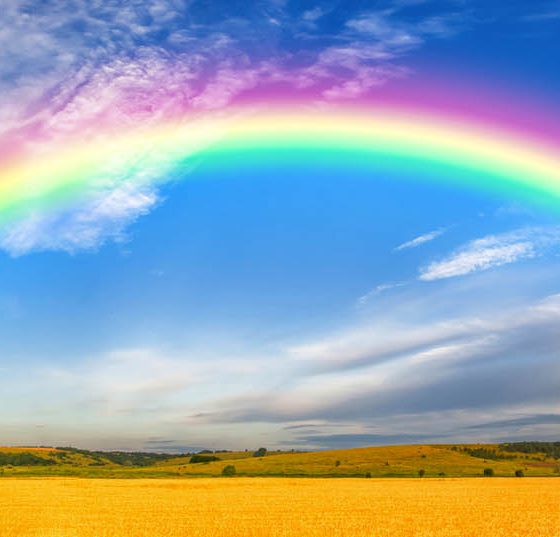 regenbogen_mepha
