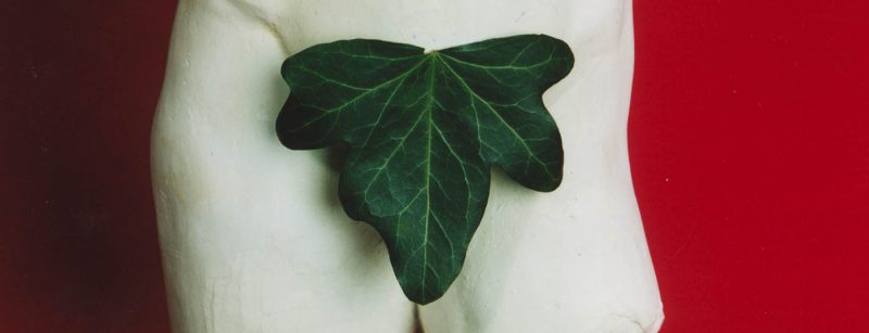 prostata_erektion