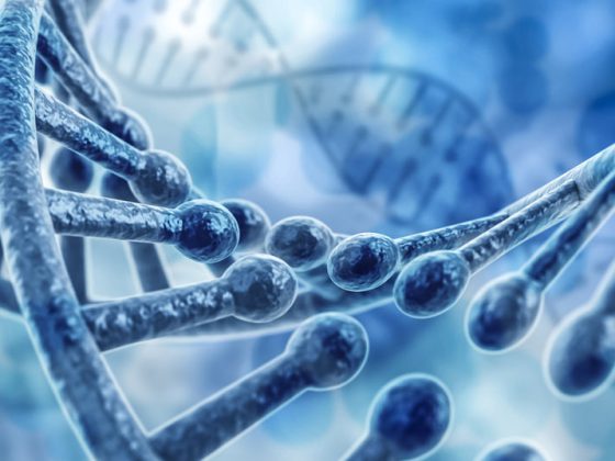 dna_genetik