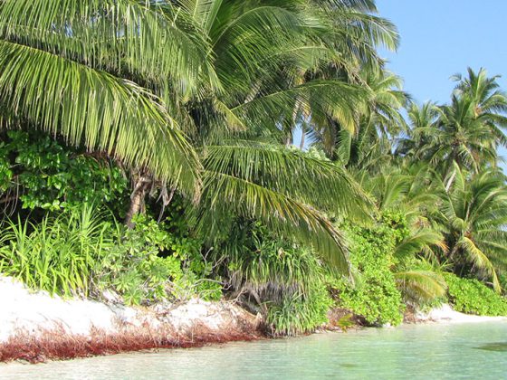 urlaub_ferien_strand_malediven