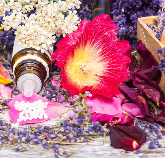 phytotherapie_pflanzen
