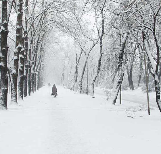 trauer_winter