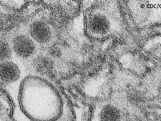zika