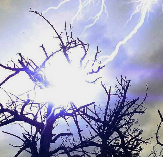 blitz_baum