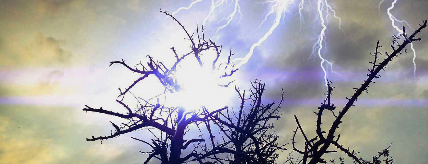 blitz_baum