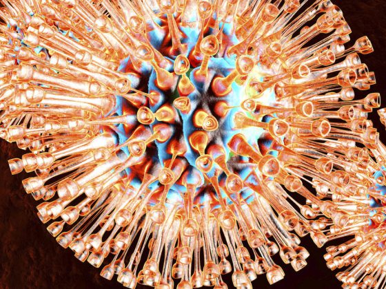 virus_66761059_m