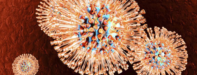 virus_66761059_m
