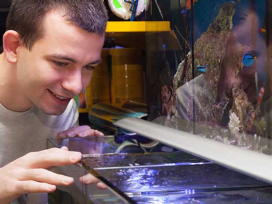 aquarium