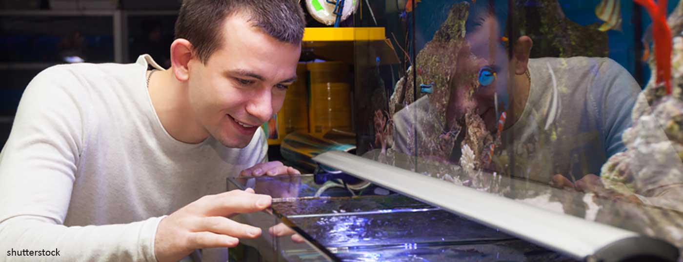 aquarium