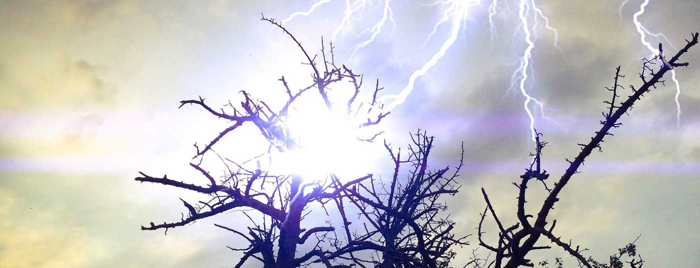 blitz_baum
