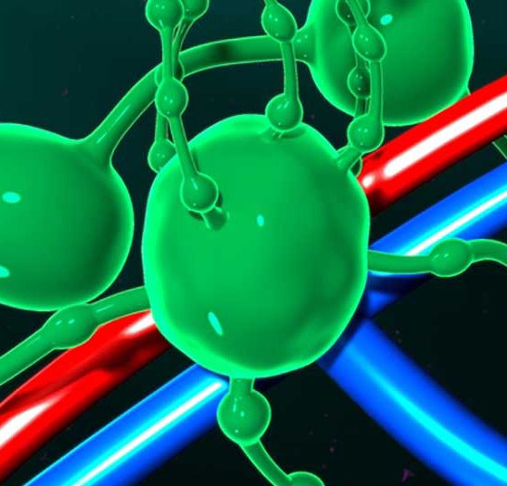 lymphknoten