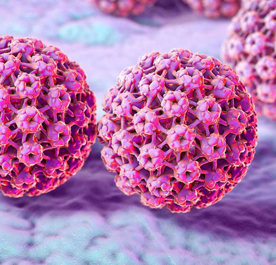 hpv-virus