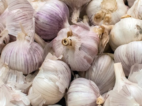 knoblauch