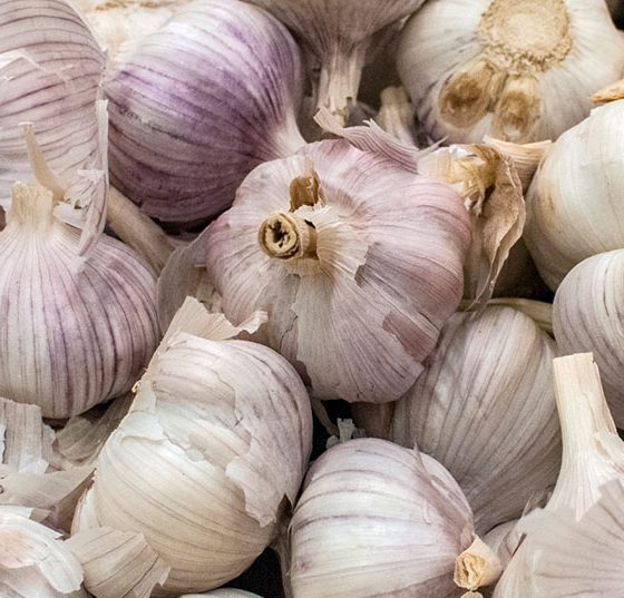 knoblauch