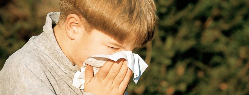 heuschnupfen_allergie