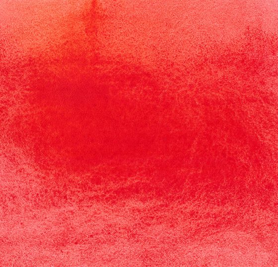 blut_fleck