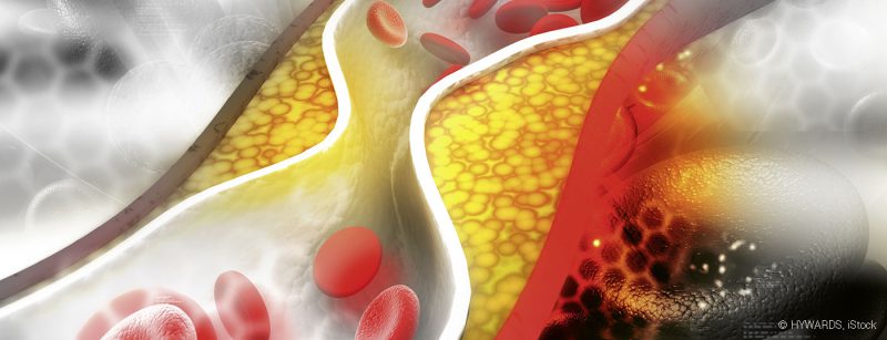 arterie_ader_vene