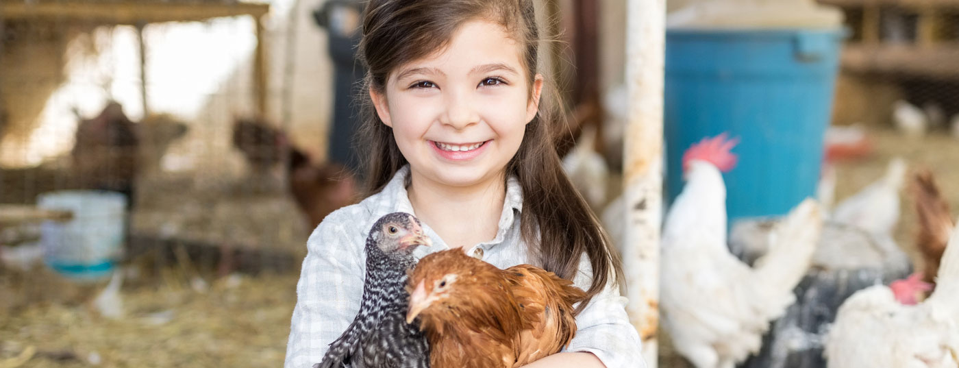 kind_huhn