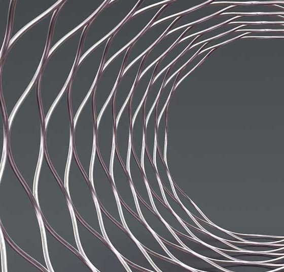 stent