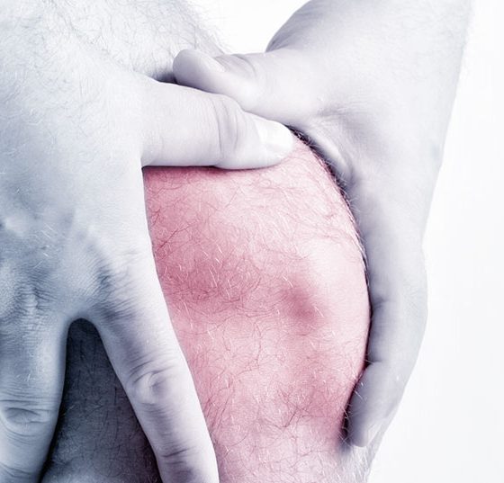 knie_istock-468765203