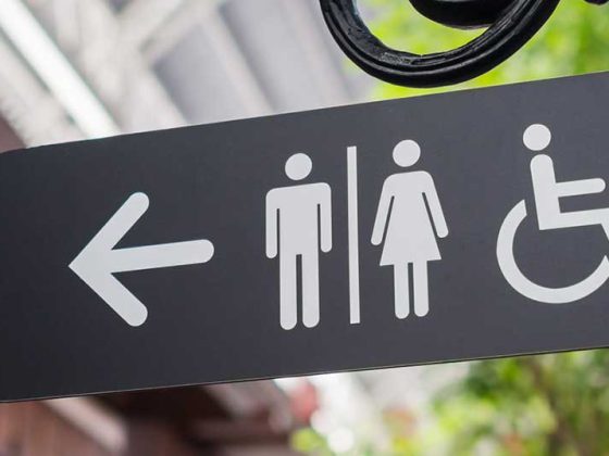 wc_toilette