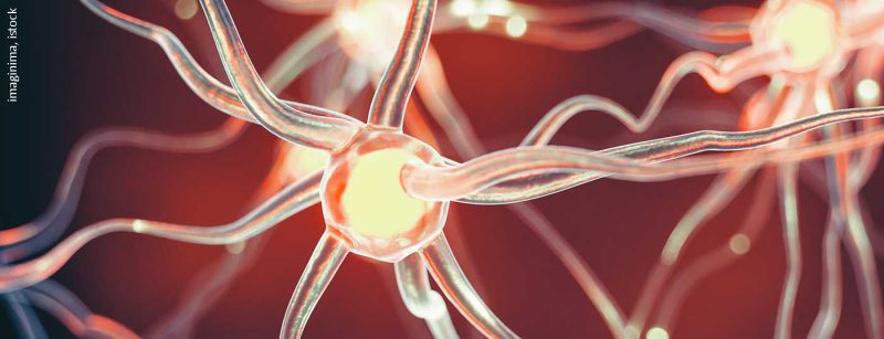neuronen_istock-951921812