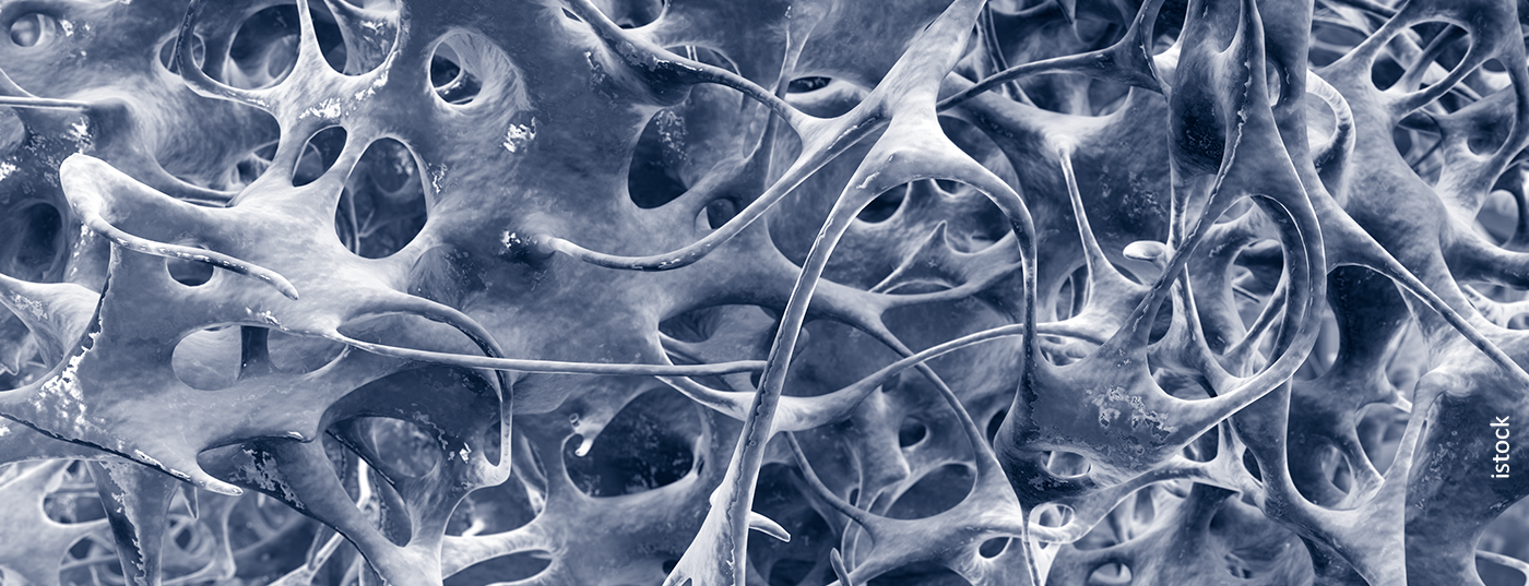 knochenstruktur_istock-1267929575-blau