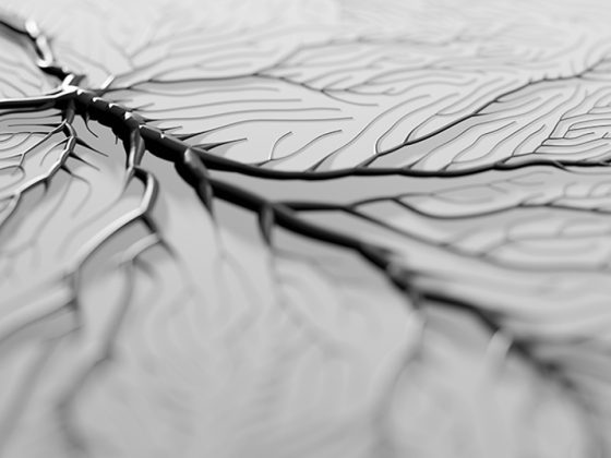 istock-1189729378