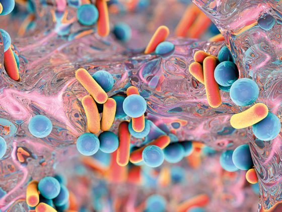 bakterien_mrsa_istock-615888618