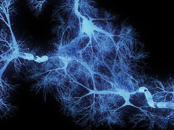 neuronen_nerven_istock-1317818866